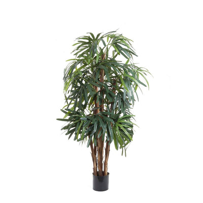 Artificial Raphis Palm (Thin Leaf) 1.2m - House of Isabella AU