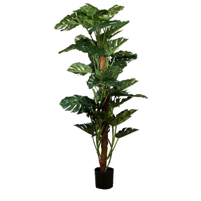 Artificial Split-Leaf Philodendron 1.9m - House of Isabella AU