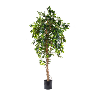 Artificial Ficus Vine Tree 1.8m - House of Isabella AU