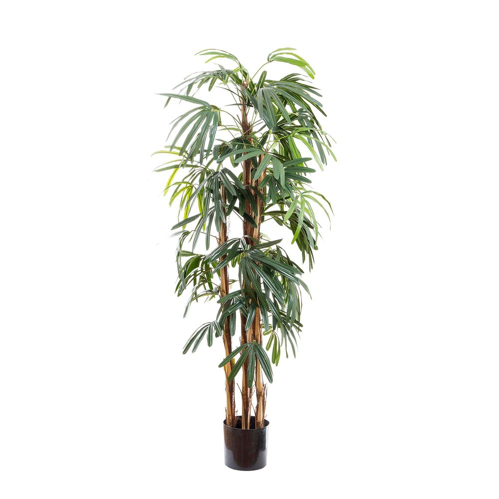 Artificial Raphis Palm (Thin Leaf) 1.7m - House of Isabella AU