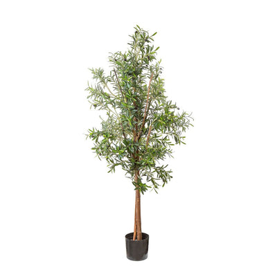 Artificial Olive Tree 1.7m - House of Isabella AU