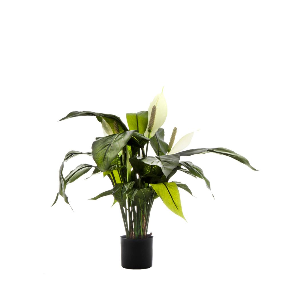 Artificial Spathiphyllum Lily 63cm White - House of Isabella AU