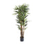 Artificial Raphis Palm W 333 Lvs 1.5m - House of Isabella AU