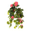Artificial Geranium Bush Trail 60cm Peach