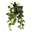 Artificial Geranium Bush Trail 60cm Cream