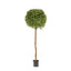 Artificial Boxwood Ball Tree 1.5M (Dia 60cm) - House of Isabella AU