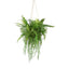 Artificial Fern Hanging 90cm - House of Isabella AU