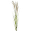 Pampas Grass Spray 1.1m