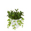 Leaves in White Plastic Pot 35cm