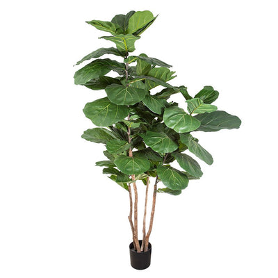 Artificial Fiddle Leaf Tree w/74 Lvs - House of Isabella AU