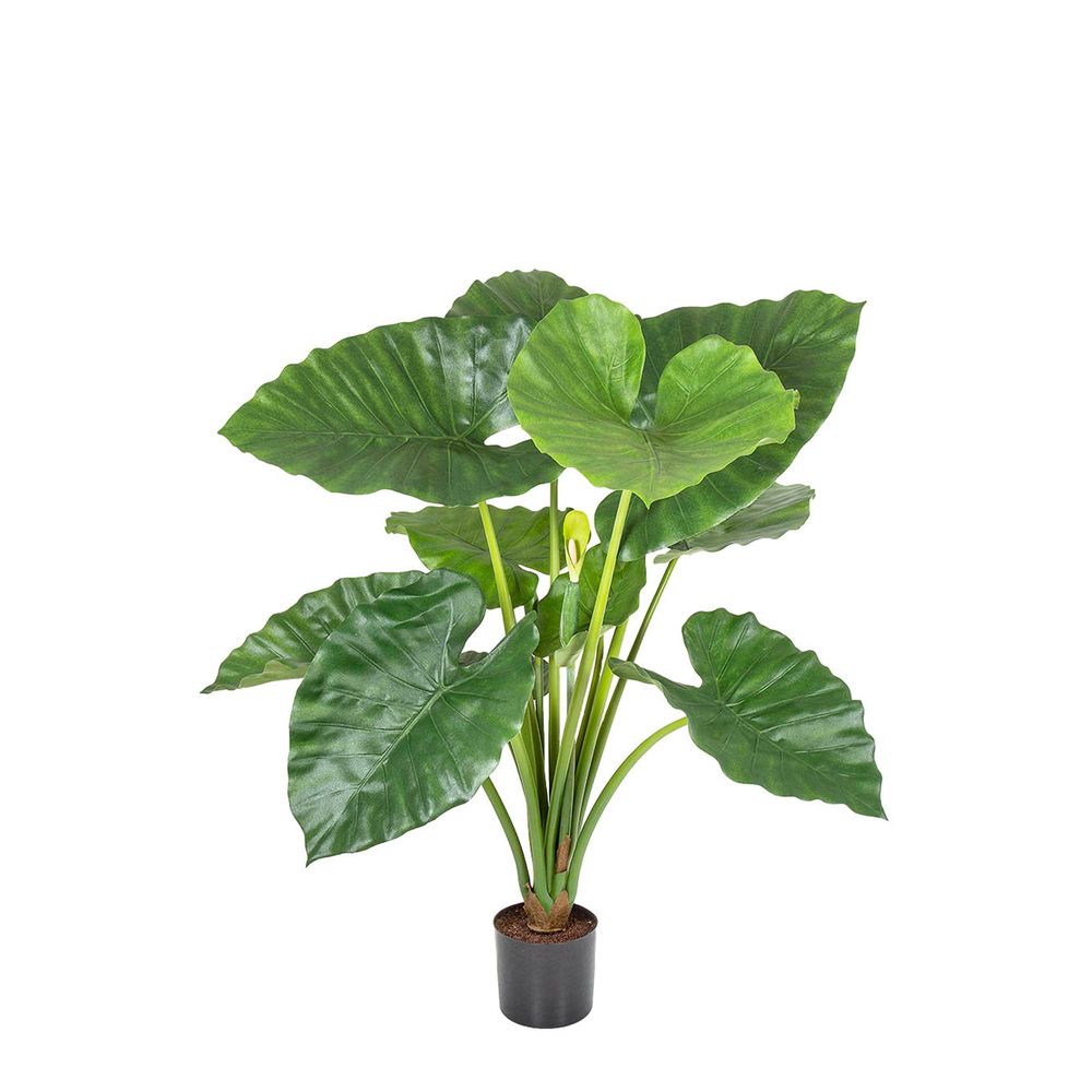 Artificial 80cm Alocasia Calidora Potted 11 Lvs 2 B - House of Isabella AU