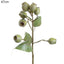 Eucalyptus Gumnut Spray 67cm Green