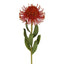 Pincushion Flower Stem 58cm Red