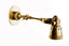 Seattle Long Arm Wall Light Brass - House of Isabella AU