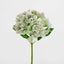 Hydrangea Stem Soft Touch 50cm Green (Set of 12)