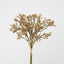 Baby's Breath Bundle Apricot - Pack of 12