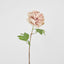 Dried Look Peony Stem 61cm Blush