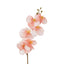Orchid Single Stem 80cm Coral - Pack of 12