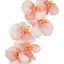 Orchid Single Stem 80cm Coral - Pack of 12