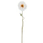 Poppy Stem 75cm White