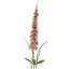 Veronica Speedwell Flower Stem 103cm Pink - Pack of 12