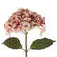Dried Look Hydrangea Stem 48cm Blush - Pack of 12