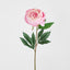 Peony Half Open 70cm Pink
