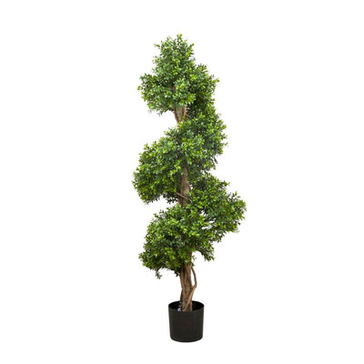 Boxwood Spiral Tree 1.5m