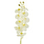 Large Moth Orchid Natural Touch Stem White - Pack of 12
