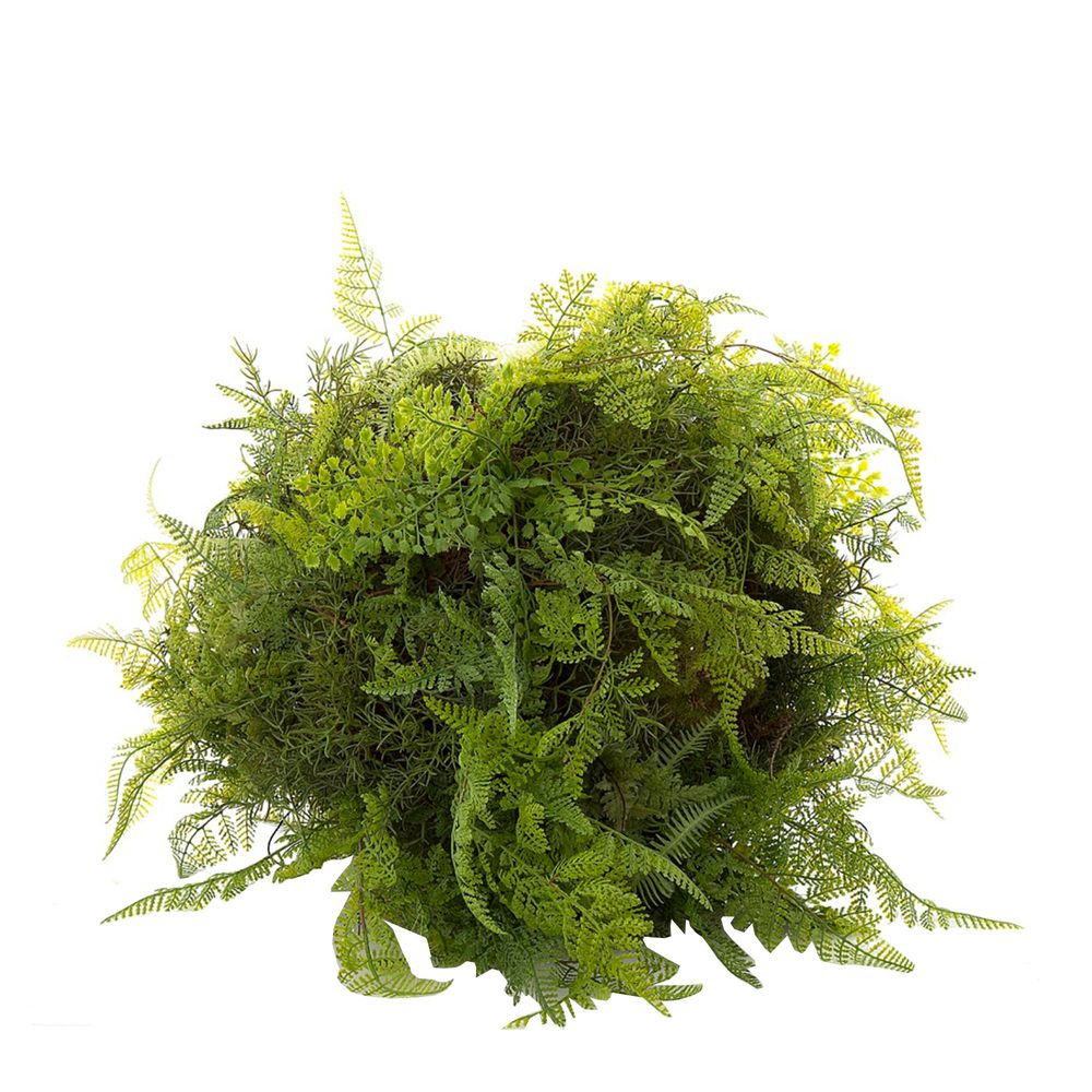 Fern Ball Mix 50cm