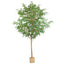 4.2m Ficus Natasja Giant Tree 14142 Leaves in Wood Pot