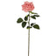 Belle Real Touch Rose Stem 65cm Pink - Pack of 12