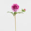 Dahlia Short Stem 50cm Purple