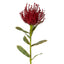 Pincushion Stem 63cm Red - Pack of 12