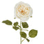 Rose Single Stem 68cm Cream - Pack of 12