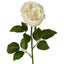 Real Touch Cabbage Rose 67cm White - Pack of 12