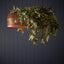 Garland Eucalyptus 1.8m Green & Brown (Set of 6)
