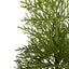 Potted Pine Tree in Tin Small