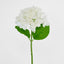 Hydrangea Stem Soft Touch 50cm White - Pack of 12