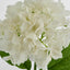 Hydrangea Stem Soft Touch 50cm White - Pack of 12
