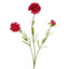 Scabiosa Stem 60cm Dark Pink - Pack of 12