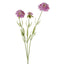 Scabiosa Stem 60cm Lavender - Pack of 12