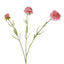 Scabiosa Stem 60cm Pink - Pack of 12
