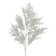 Cedar leaf Spray stem White