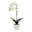 Artificial Orchid in Clay Pot 84cm White - House of Isabella AU