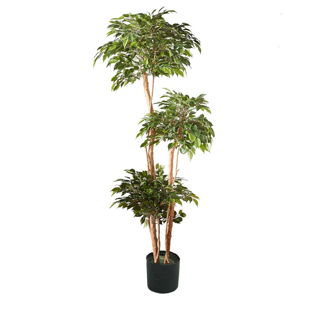 Artificial Ficus Tree 180cm