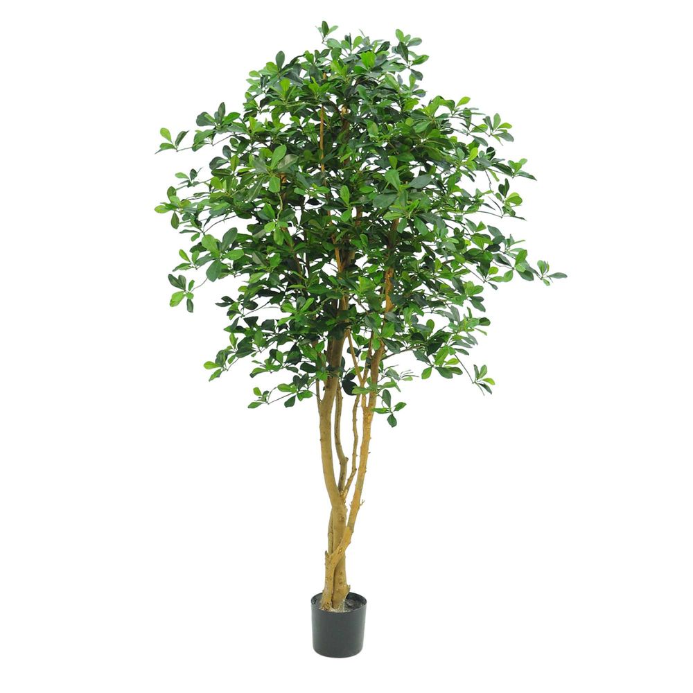 Artificial Oriental Olive Tree 155cm