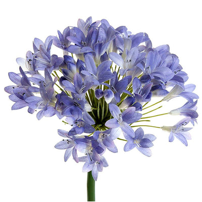 Artificial Agapanthus 94cm Lavender Blue