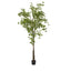 Artificial Ginko Tree 2.4m Potted - House of Isabella AU