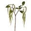 Amaranthus Hanging Plant 90cm Green - Pack of 12
